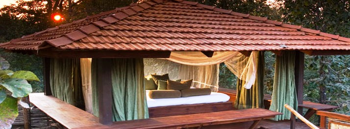 716/Taj Baghvan - Pench National Park 08.jpg